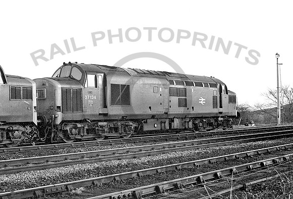 37134-Shirebrook-250278-JC1