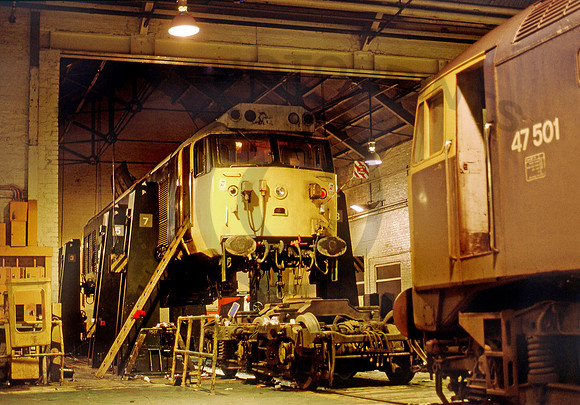 50025-Y-OldOakCommon-261185-BR169
