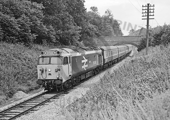 50048 Buckhorn Weston 050884  JC327