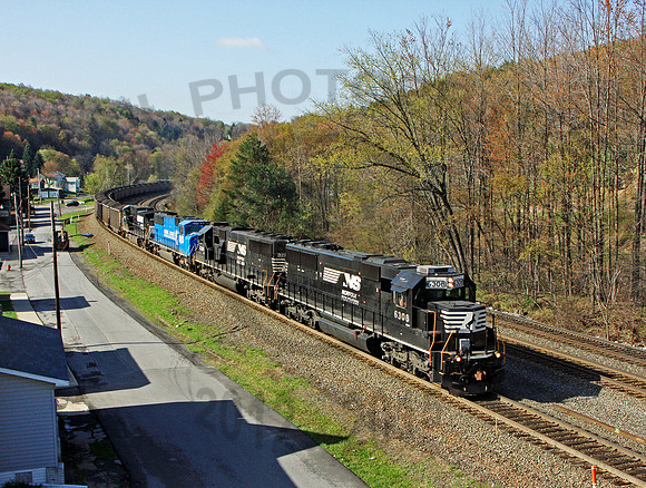 NS 6308 Lilly 190410 JC809