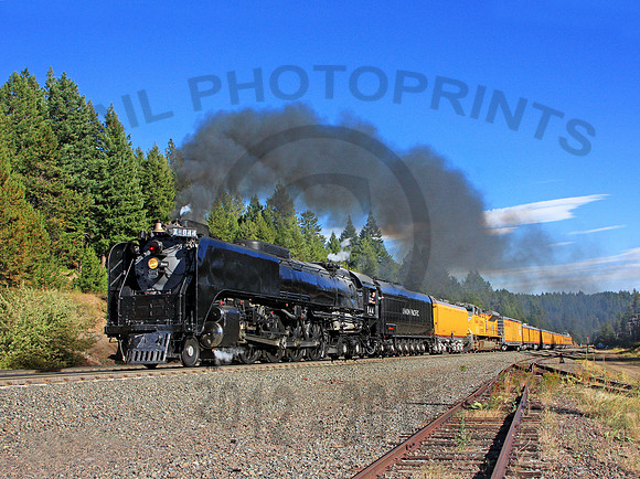 UP 844 Kamela 120910 JC5816