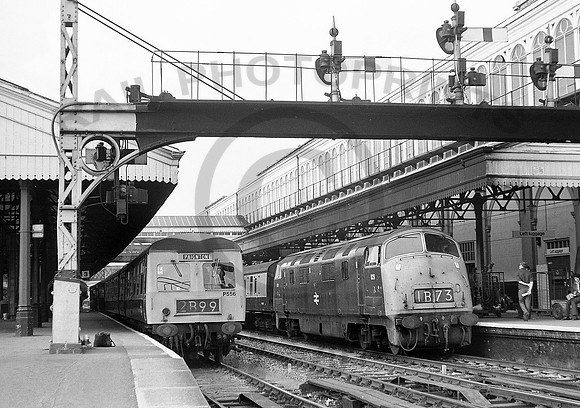 829-Exeter-220772-DM393