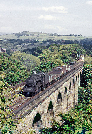 48371-Y-Marple-1963-AHB741