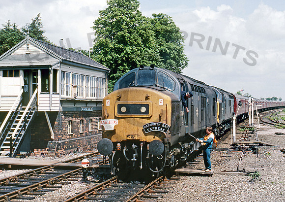 37159 Welshpool  310587 BR244