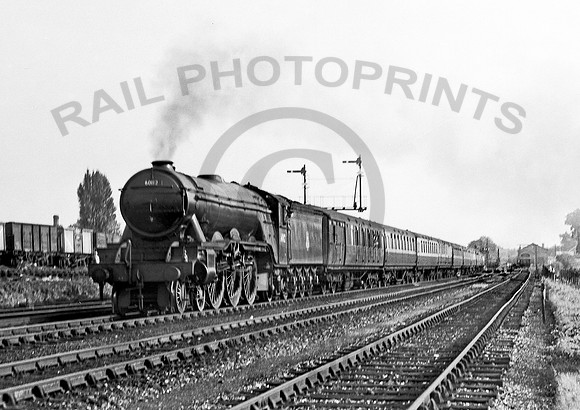 60112 Potters Bar 1954  RPC227