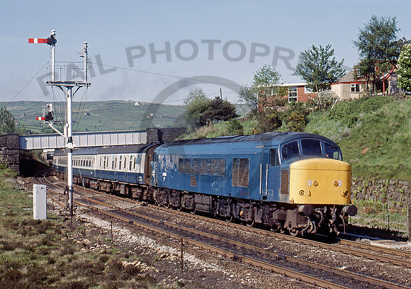45026 Diggle 310585 BR220