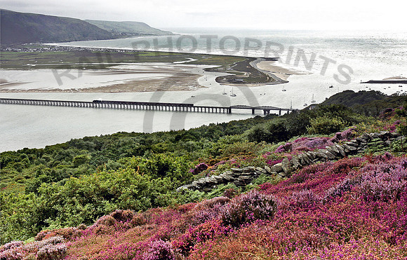 76079-Afon-Mawddach-Barmouth-260809 GE