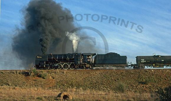15E 2878 Bosrivier 200595 RP525-1