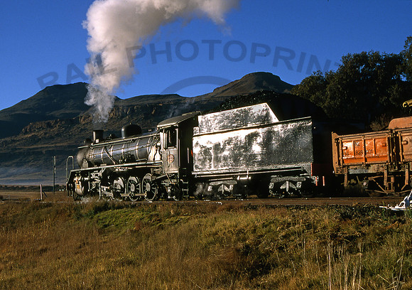 19D 3323 Lady Grey SA 240595 RP271