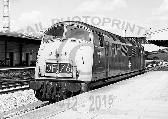 824 Totnes 110872 RPC357