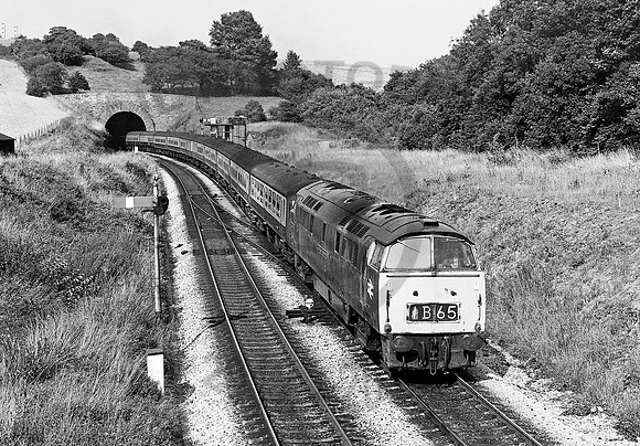 1004 Dainton 120872 RPC370