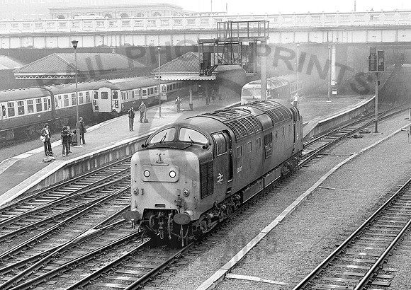 55017-Waverley-110481-JC774