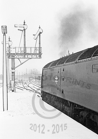 47512-Taunton-180278-JCF954