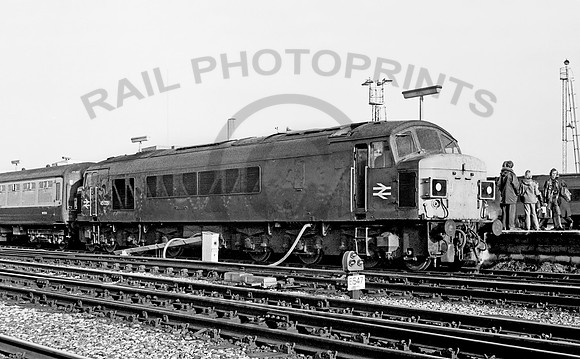 45029-Bristol-101277-JC2