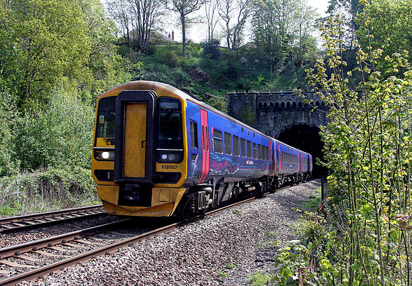 158950-Y-StAnnesPark-240409-JC533