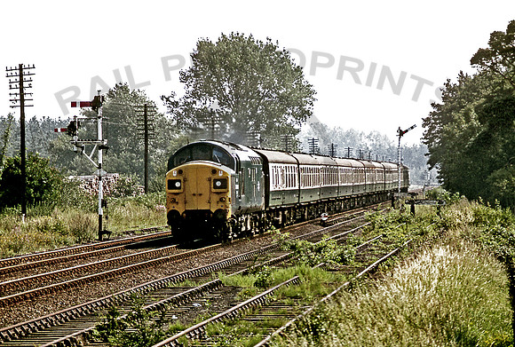 37041-Brandon-160880-GE