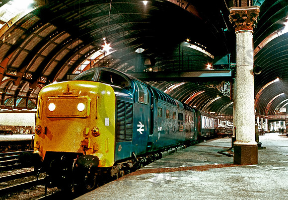 55017-York-251181-GE