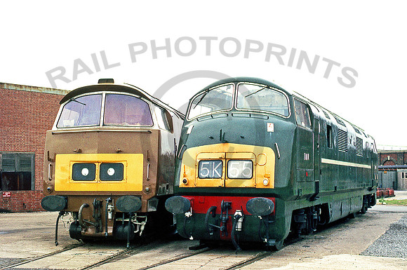 D1015_&_D818_Swindon_Works_311083_GE