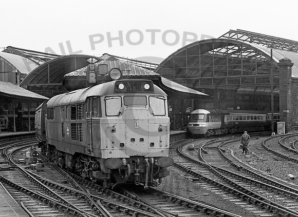 31118-Newcastle-120579-RP274