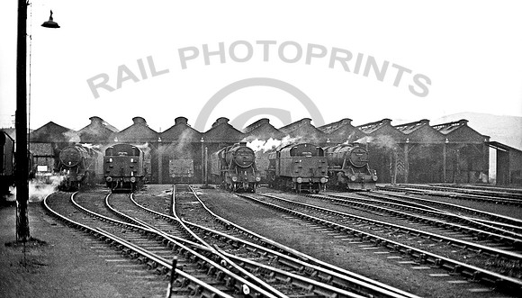 Royston-shed-0167-GE