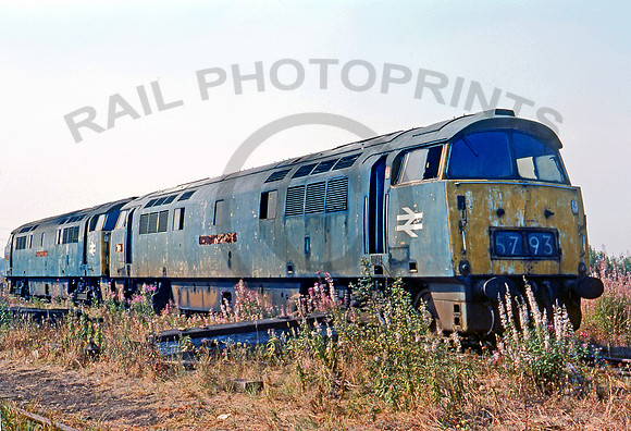 1016 Swindon Dump  0976 961