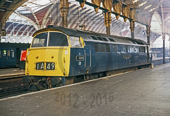 1037 Paddington 0974 RPC983