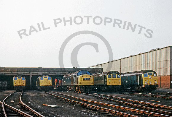 Springs Branch, Wigan 0574 RPC981