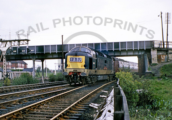 D9019  York 230467 CD019
