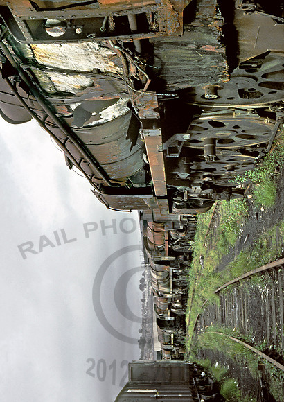 35029 Barry-0879 GE029
