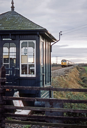 50003 Oddingley 141184 BR082