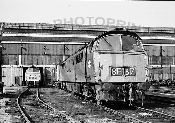 D1029 Old Oak Common JM346