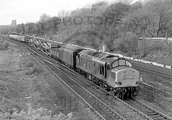 37202 Low Fell 120586 RPC194