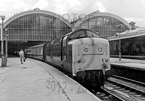 55017 Hull Paragon 0780 RPC205