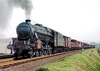 44886 Scout Green 0665 RPC572