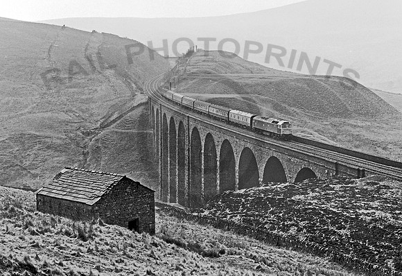 47406 Arten Gill 240382 JC061