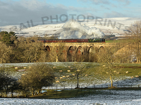 46233-Ormside-310115-GE