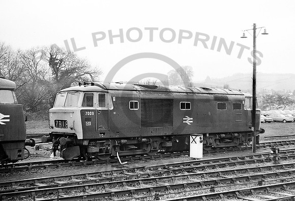 7009-Y-Exeter-250372-DM214