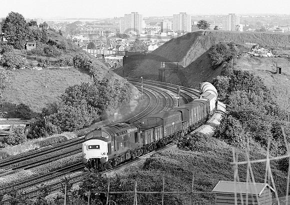 37276-Y-AshleyDown-020681-JC705