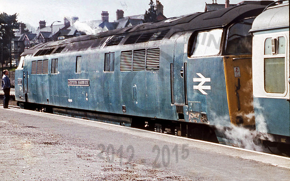 1017 Newton Abbot 0371 AB430
