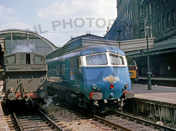 W60096 Paddington 300764 CD228