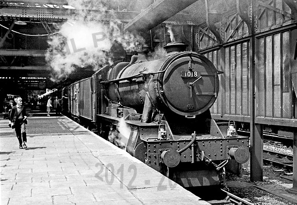 1018 Shrewsbury 230662 NP278R