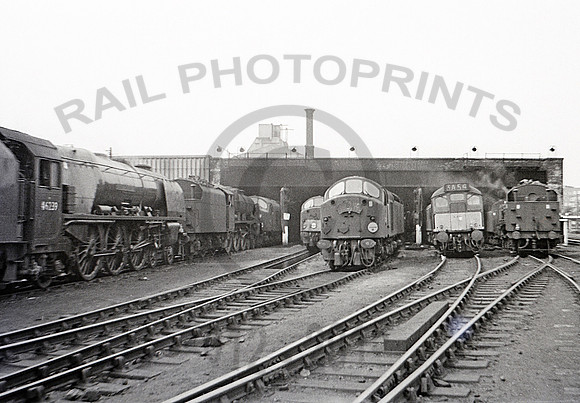 Camden-0462-JC417