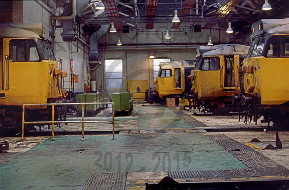 50040-Y-OldOakCommon-030285-BR170
