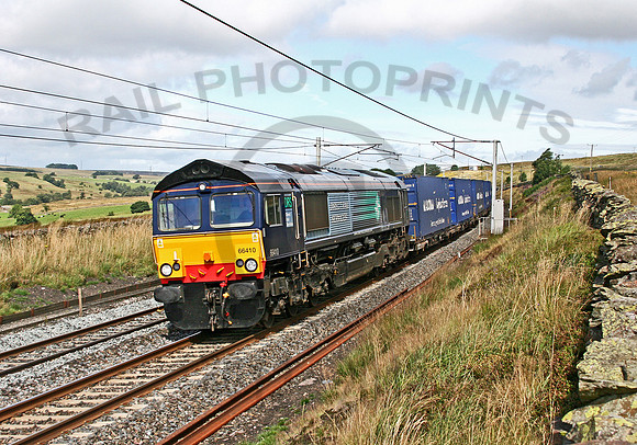 66410 Scout Green 230805 JC038