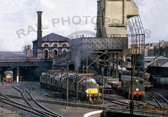 Camden Shed 100862 DC871