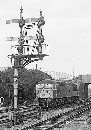56034-Y-Westbury-020684-HB507