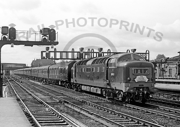 D9003-Y-York-0962-RW012