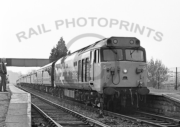 50018-Y-Ledbury-300483-JC418