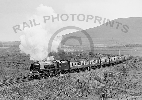 46229-Y-BleaMoor-020684-HB486