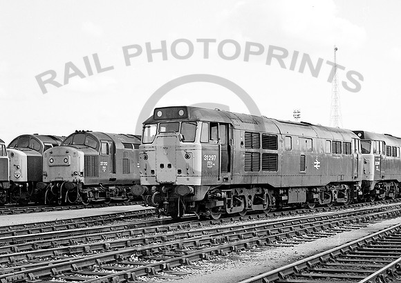 31297-Y-TyneYard-120683-JC155